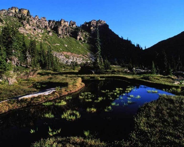 Exemple de réhabilitation, un étang des Cabinet Mountains au-dessus de la mine de Rock Creek © Doug Day