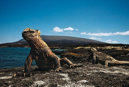 IWC et la Charles Darwin Foundation - îles Galapagos © IWC