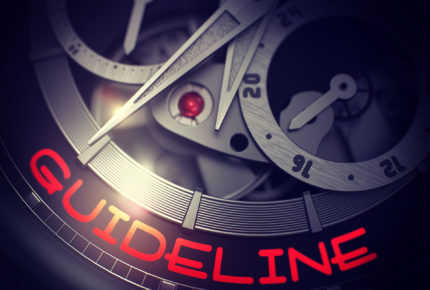 Guideline-watch