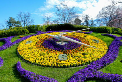 Symbole horloger par excellence, l’horloge fleurie est composée de 6'500 fleurs. Son aiguille des secondes est la plus longue au monde avec une taille de 2,50 m.