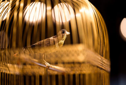 Pendule à Oiseau Chantant © Jaquet Droz