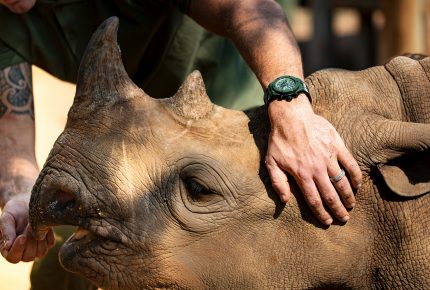 Hublot soutient Kevin Pietersen, fondateur de Save Our Rhino Africa India.
