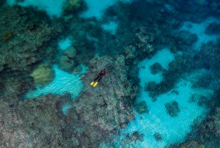 Emma Camp, a 2019 Rolex Awards laureate, studies the resilience of Australia’s Great Barrier Reef