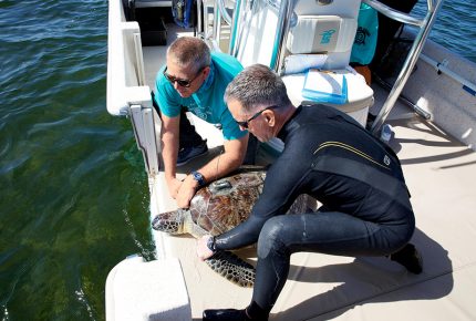 Certina supports The Sea Turtle Conservancy (4)