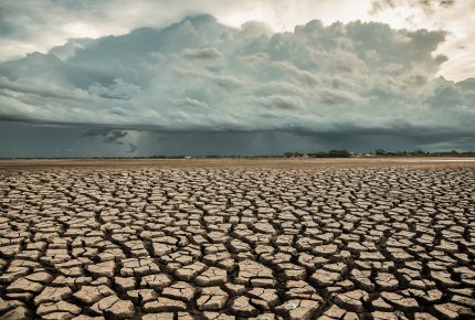 Les-terres-touchées-par-le-changement-climatique-et-la-sécheresse